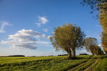 Sielski krajobraz z mazowieckiej wsi © arekzet62