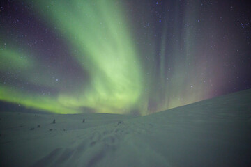 Northern lights in Pallas Yllastunturi National Park, Lapland, Finland