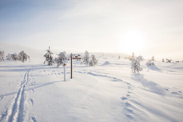 Ski expedition in Pallas Yllastunturi National Park , Lapland, Finland