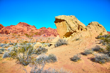 Fototapeta premium Red Sandstone Formations in Desert Against Blue Sky at Eye Level