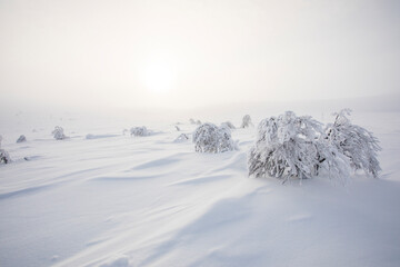 Winter landscape in Pallas Yllastunturi National Park, Lapland, Finland