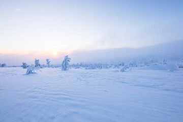 Winter landscape in Pallas Yllastunturi National Park, Lapland, Finland