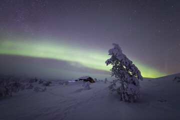 Northern lights in Pallas Yllastunturi National Park, Lapland, Finland