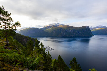 Obraz premium Autumn landscape in Bergen to Alesund road, south Norway. Europe