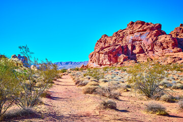 Obraz premium Red Rock Formations in Valley of Fire Desert Path Eye-Level View