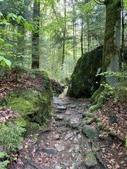A hidden path between rocks lost in a forest of the swiss alps