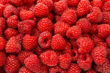 Tasty fresh raspberry as a background.