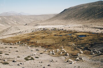 peru