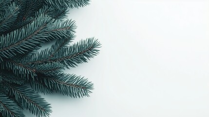 Obraz premium Winter Wonderland: A Fresh Fir Branch on a Snowy Background