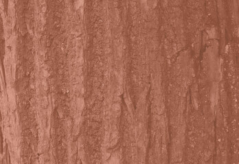 Fototapeta premium Tree bark texture brown color. Tree bark texture full frame in nature. Monochrome background. Trendy colour 2025.