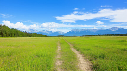 Obraz premium Mountain trail winding through verdant grassland, distant peaks rising beneath clouded azure expanse