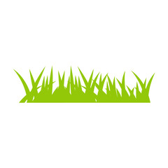 Green grass illustration 