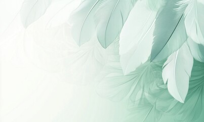 Soft green feathers background, delicate and ethereal design, light pastel tones, smooth gradients, artistic texture, calming aesthetic