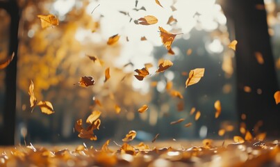 Falling autumn leaves, vibrant orange and yellow hues, serene forest background, soft sunlight filtering through trees