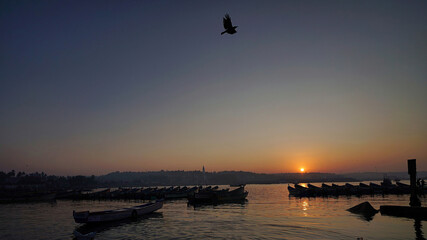 sunrise in the harbor 

bird in flight 
