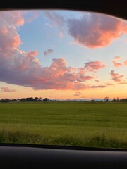 Sunset over the field