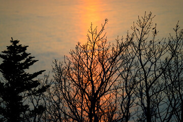 Obraz premium 知床の夕日