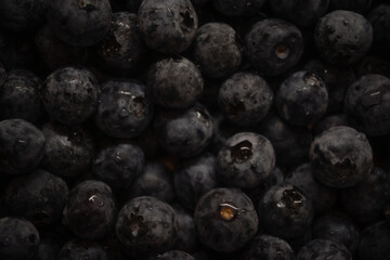 a close-up photograph of a large group of fresh blueberries. The berries are tightly packed together, filling the entire frame. Many of the blueberries have tiny droplets of water 