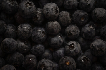 a close-up photograph of a large group of fresh blueberries. The berries are tightly packed together, filling the entire frame. Many of the blueberries have tiny droplets of water 