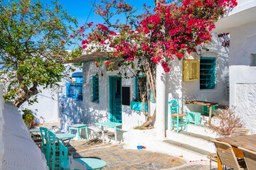White Greek houses in narrow alley decorated with bougainvillea flowers in Chora village, Amorgos island, Cyclades, Greece