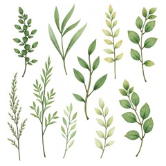 The image shows collections of plants. They are made in the same style, differ in simple lines and monochrome colors. The color palette includes shades of green with a yellowish-green base.	