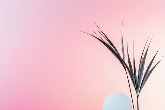 plant doodle illustration, minimalist doodle of a yucca plant on a soft pink background exudes calm and tranquility