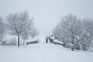 File Image: Image depicting a robin in Marlay Park in Dublin, Ireland during the Christmas holidays in December 2010 during a period of heavy snow.