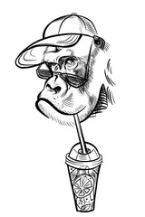 Gorilla, hand drawn sketch vector illustration