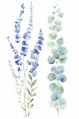 Elegant watercolor eucalyptus branch illustration for wedding invitations, natural backgrounds, botanical designs, eco-friendly projects, floral themes, and creative stationery decoration