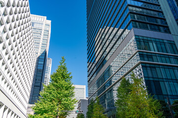 Fototapeta premium 丸の内の高層ビル群