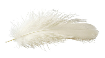 White feather, transparent background