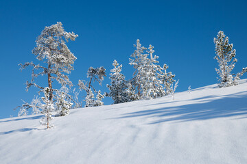 winter landscape in sweden