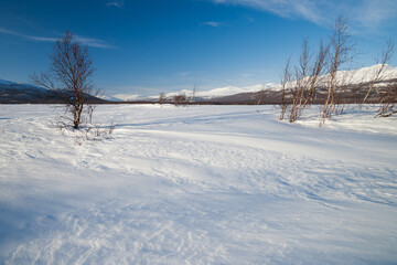 evening mood over a frozen lake in sweden