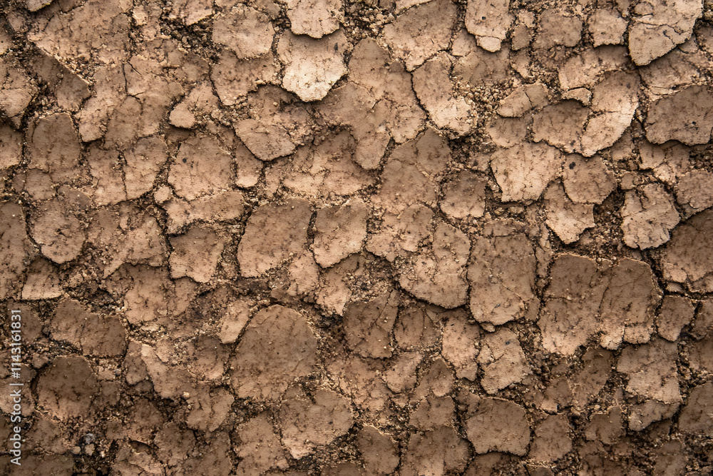 Poster a close-up of a cork surface, perfect as a neutral background or texture. this simple yet versatile 