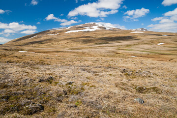 wild landscape in iceland on a sunny day