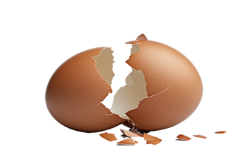 Broken eggs on transparent background