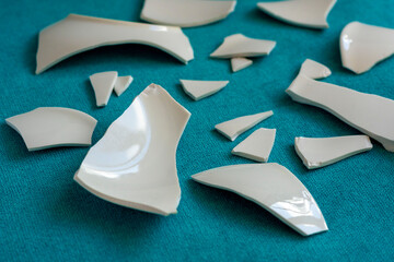 Broken Plate, Splinters, Fragments