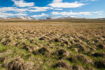 beautiful icelandic landscape in summer