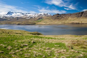 sea landscape in west iceland in summer