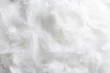 Many beautiful feathers as background, top view