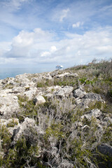Little Stirrup Cay Island Rocky Landscape