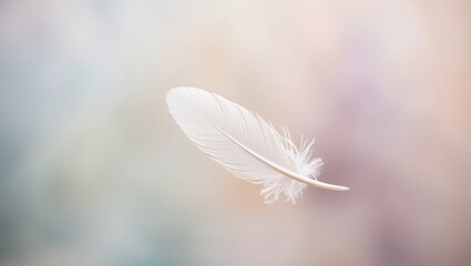 Naklejka premium Single White Feather Floating Against Soft Background
