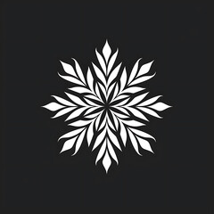 black and white snowflake isolated logo style