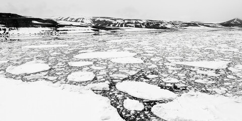 Obraz premium Explore the Beauty of Polar Ice: Against the Floe