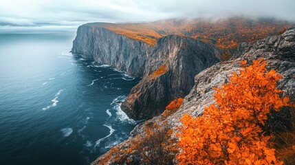 Fototapeta premium Autumn coastal landscape with cliffs and vibrant orange foliage overlooking the sea and rocky shoreline under a cloudy sky