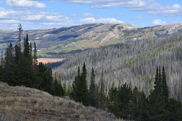 Jackson Hole, Wyoming