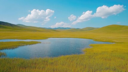Obraz premium Chuya steppe plateau featuring vibrant yellow green grass, serene marsh lakes, and a backdrop of blue sky and mountain hills