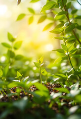Obraz premium Concept of green energy and protect enviroment nature. Green pla, with white tones