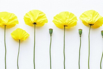 Yellow Flowers Pop Against a Plain White Background