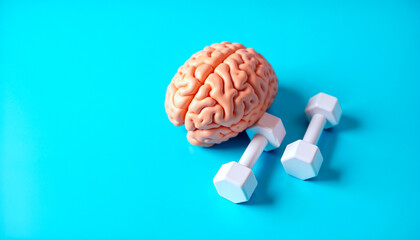 A conceptual image of a human brain model next to dumbbells against a blue background, symbolizing the connection between mental strength and physical fitness, emphasizing health and exercise.